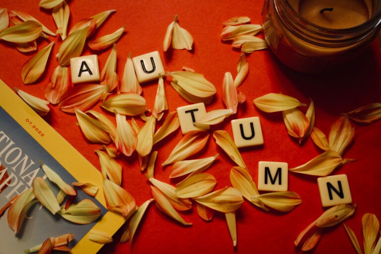 Curated Reading Lists for Every Season: Fall Cozies, Summer Escapes & More
