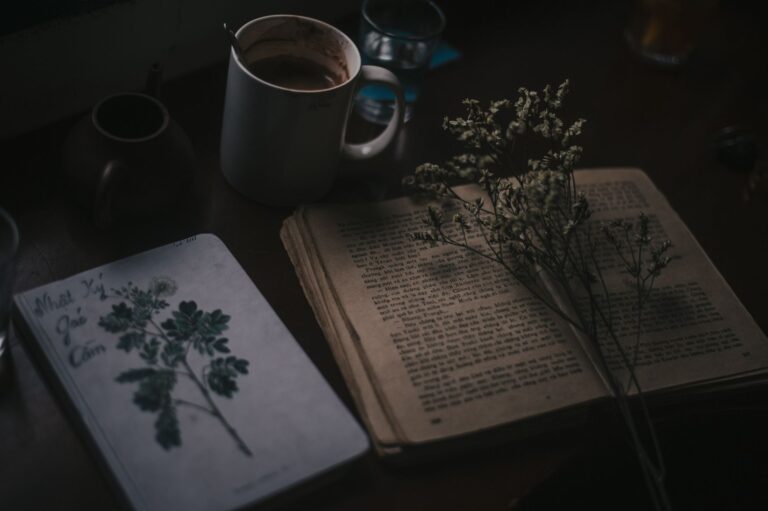 From Dark Academia to Cottagecore: Book Lists for Aesthetic Moods