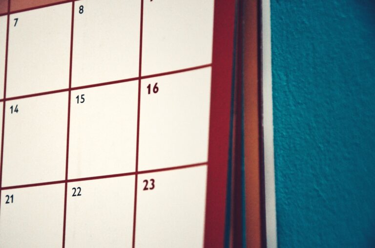 Master Your Time: The Ultimate Guide to a Minimalist Daily, Weekly & M - bookmoodmatch